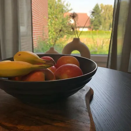 別荘 Buntes Friesenhaus Ihlow